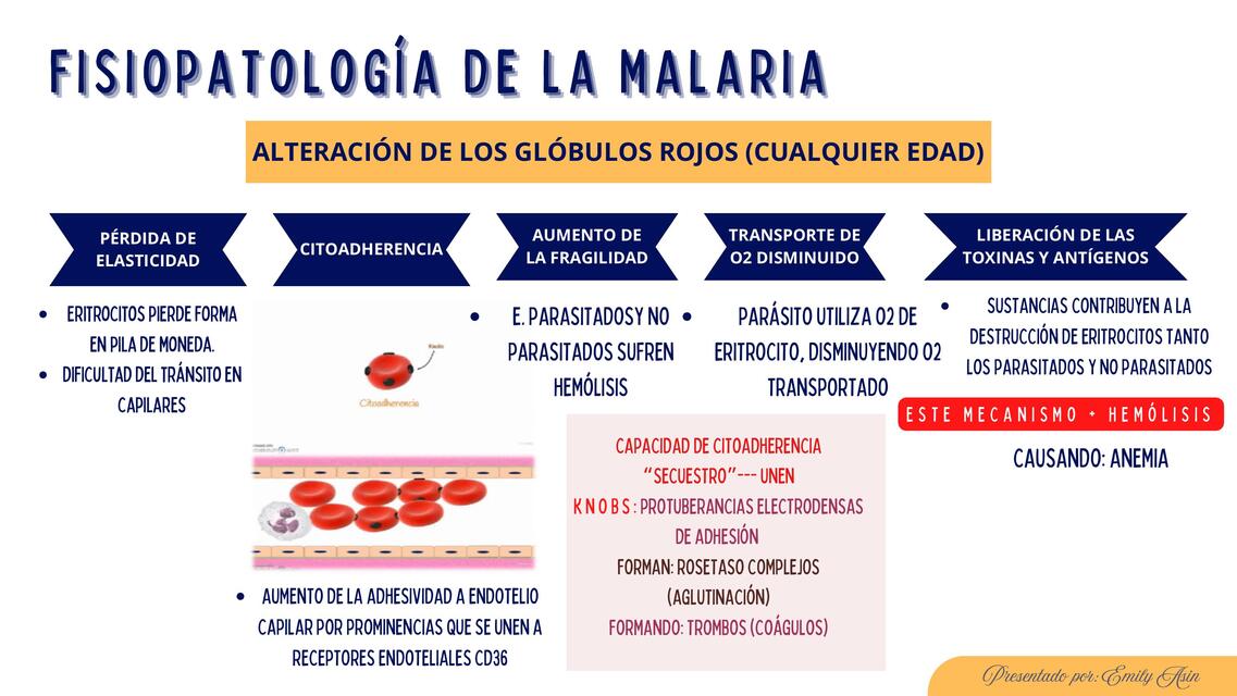 FISIOPATOLOGÍA: MALARIA