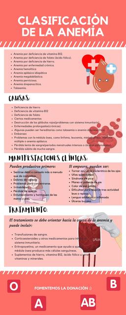 Anemia Hematologia Fisiologia Udocz