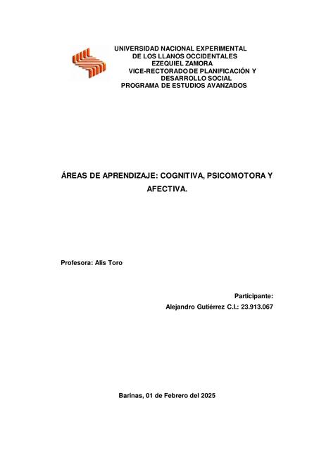 Informe de Areas de Aprendizaje modulo II Teorias