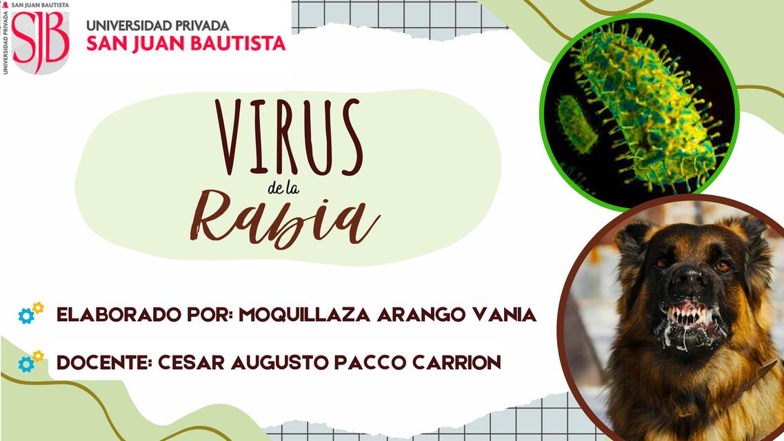 VIRUS DE LA RABIA