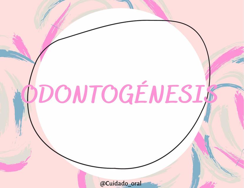 Odontogénesis