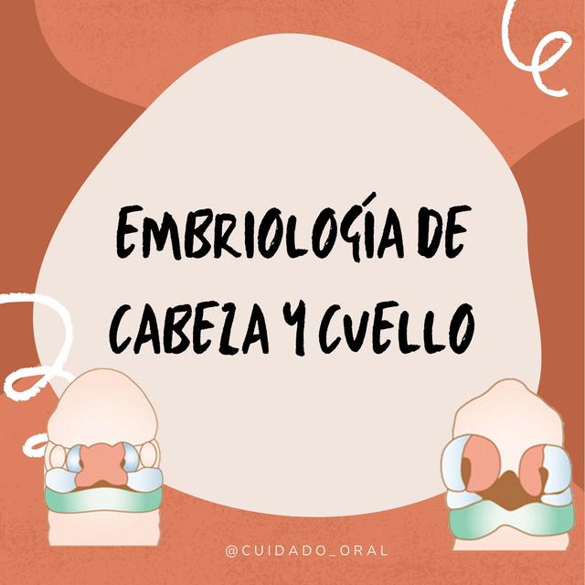 Embriologia de cabeza y cuello