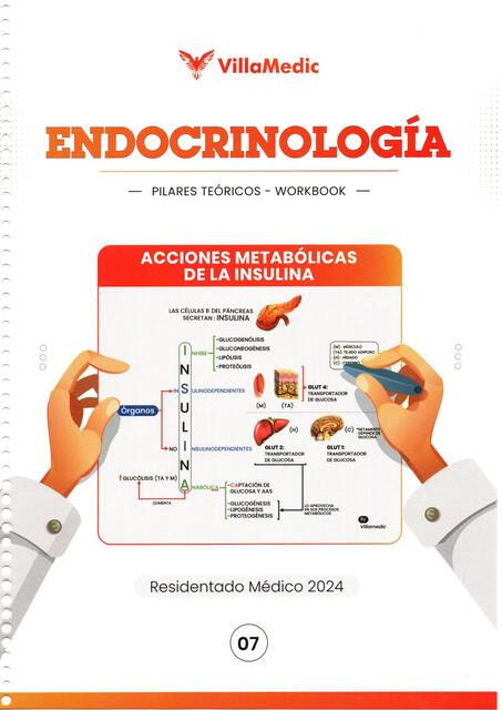 Endocrinología