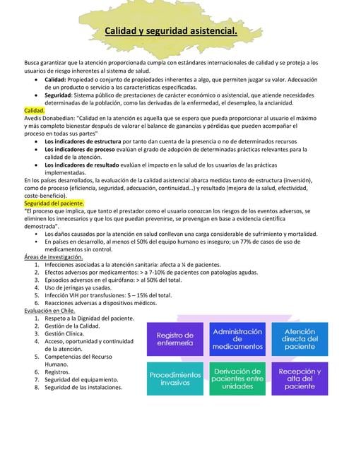 Calidad y Seguridad Asistencial | Alicia Huentelican | uDocz