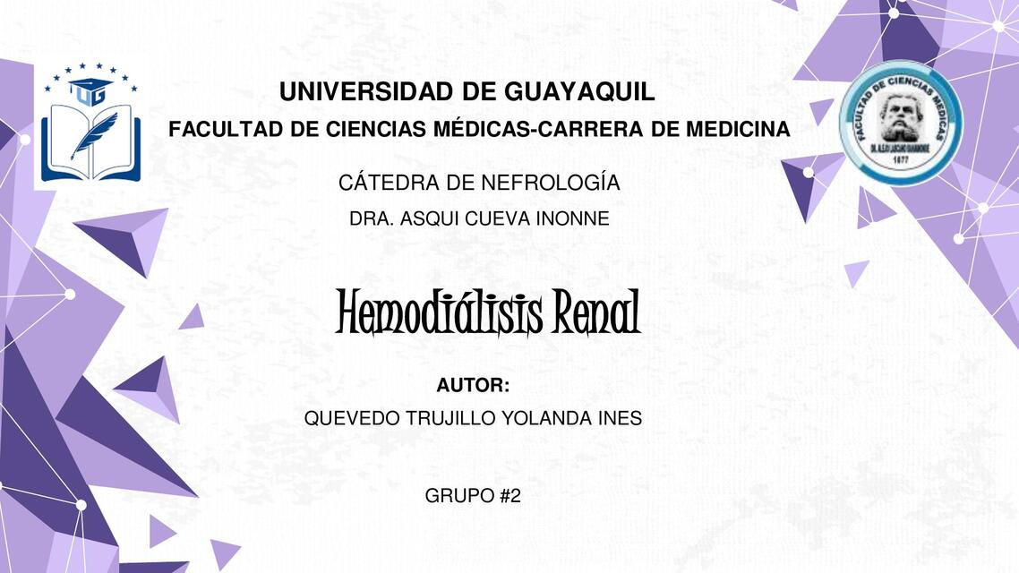 Hemodialisis Renal