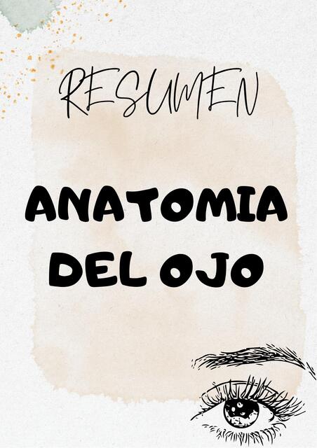 Resumen completo anatomia del ojo