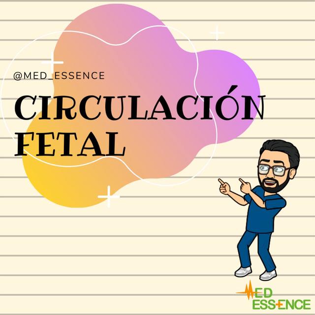 CIRCULACION FETAL