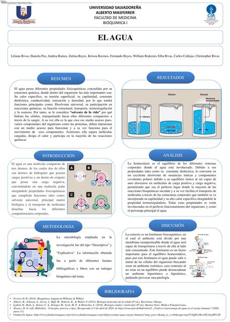 El agua | William | uDocz