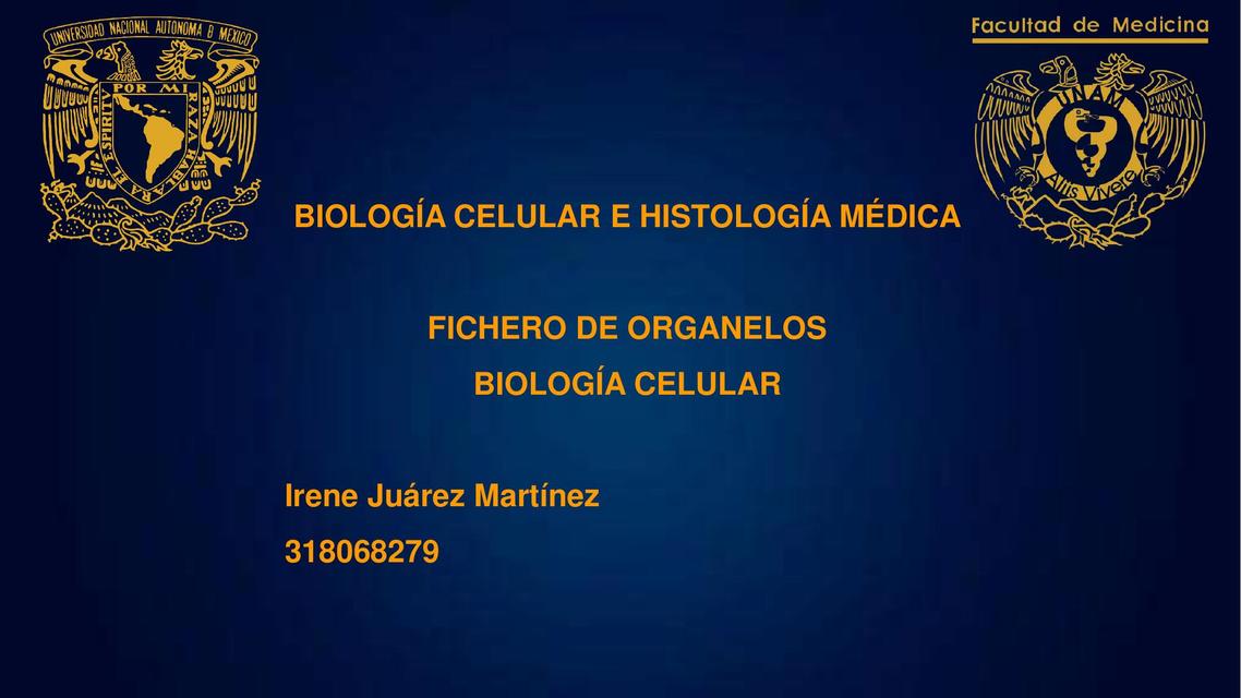 Fichero de Organelos 