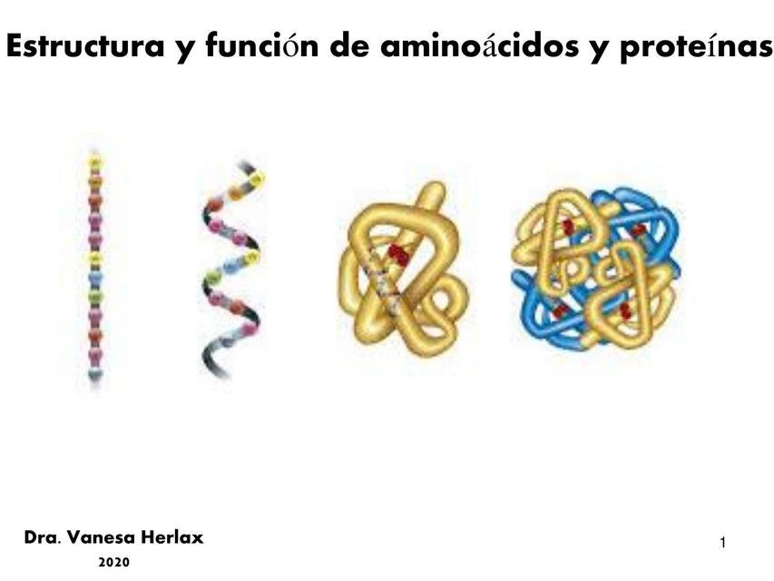 Estructura y función de aminoácidos y proteínas 