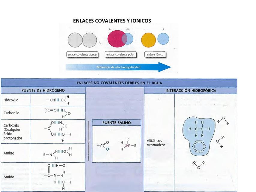 Enlaces Covalentes y Iónicos 