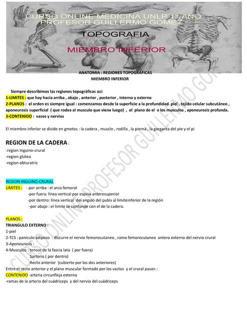 Anatomía del Miembro Inferior