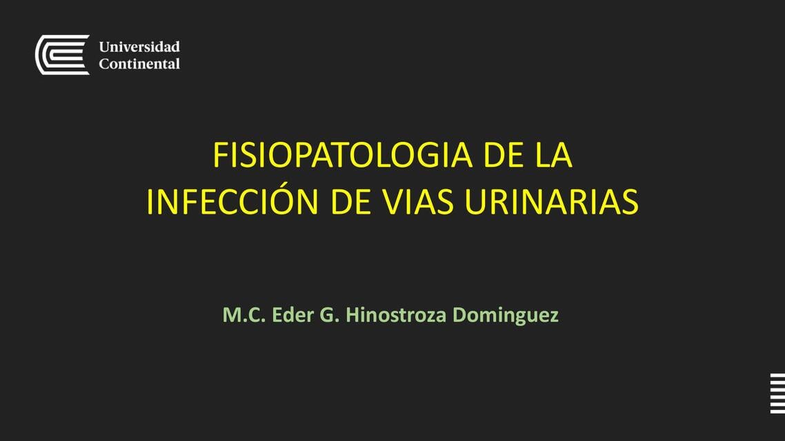 FISIOPATOLOGIA DE LA INFECCION DE VIAS URINARIAS P | FRANCINI CUYUTUPAC