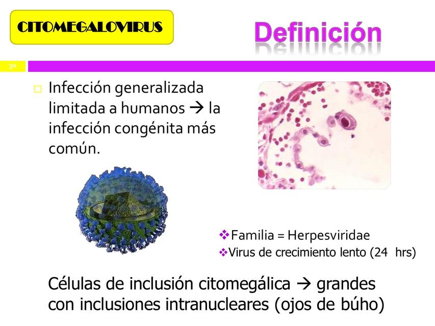 Torch y herpes Jakelyne Altamirano Enciso uDocz