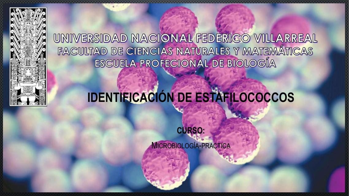 Identificación de Filococcos