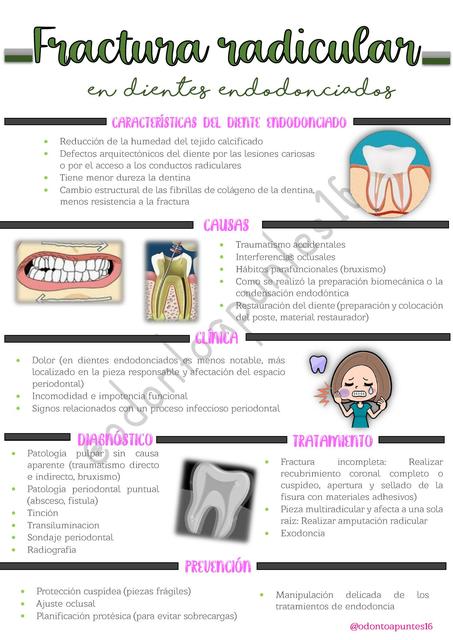 Fractura Radicular