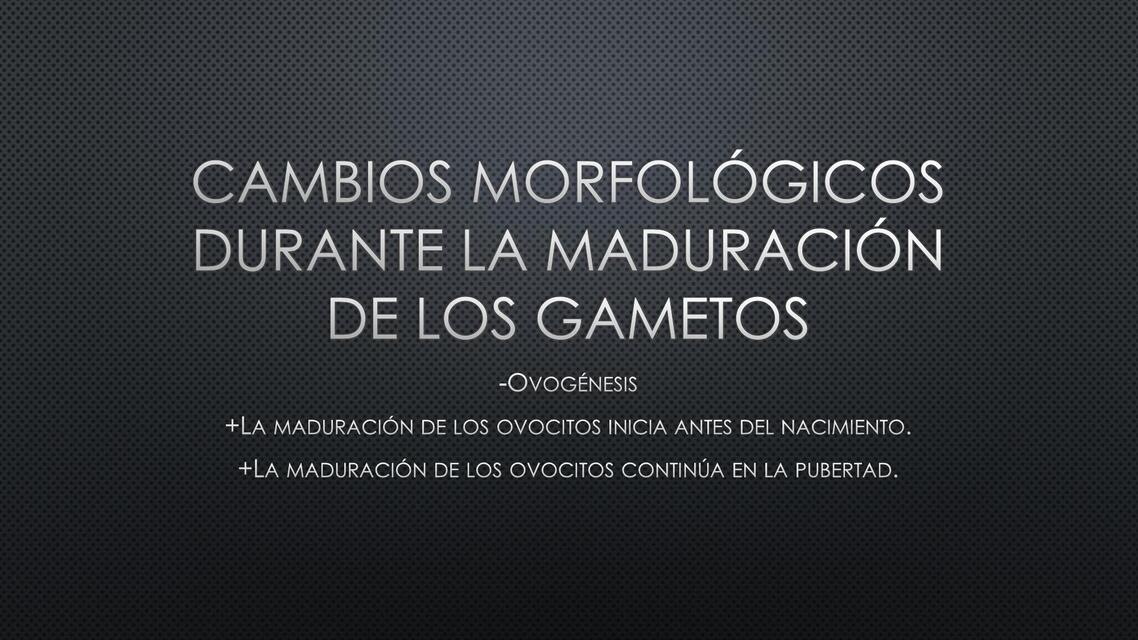 CAMBIOS MORFOLÓGICOS DURANTE LA MADURACIÓN DE LOS GAMETOS | Nadia