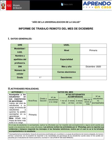 Informe Trabajo Remoto