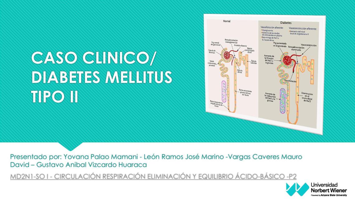 Caso Clinico Diabetes Mellitus Tipo 2