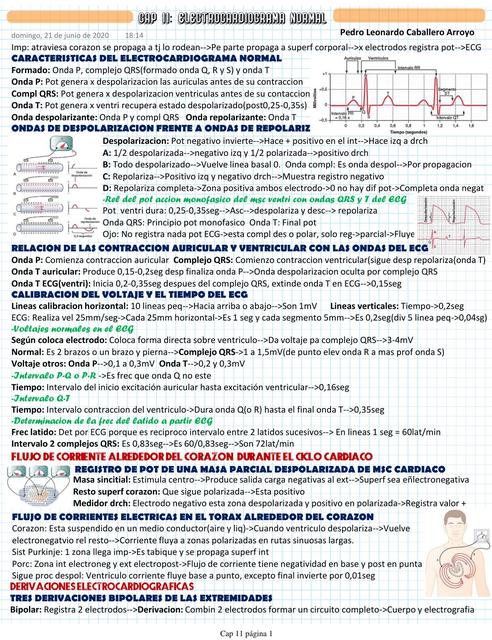  Electrocardiograma normal