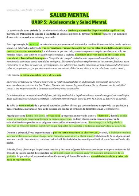 Salud Mental Uabp 5 Cyd Ana Udocz