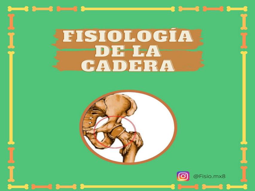 Fisiologia De Cadera