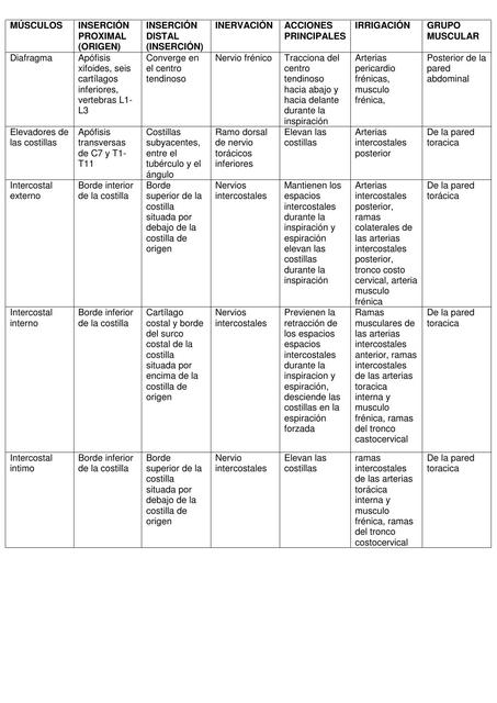 Músculos  Tórax