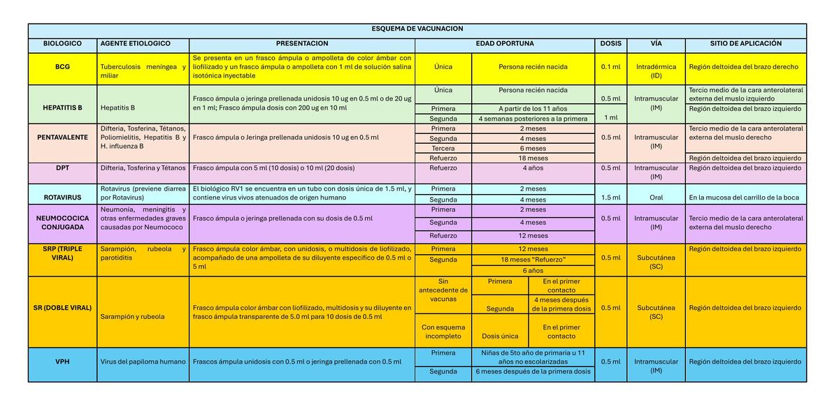 ESQUEMA DE VACUNACION | Medinotes_Key | uDocz