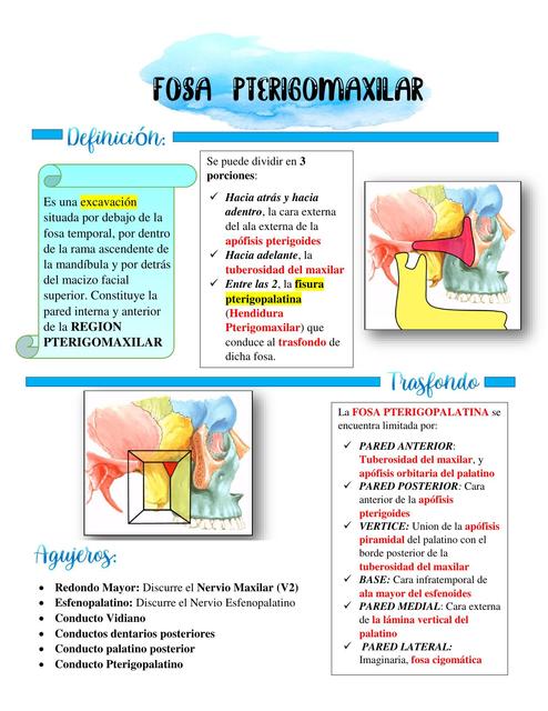 Fosa Pterigomaxilar