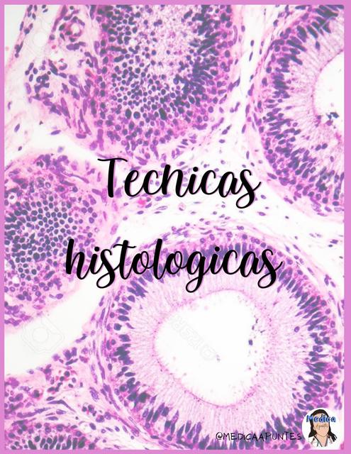 Resumen De Tecnicas Histologicas Apuntes De Medicina Salud Udocz