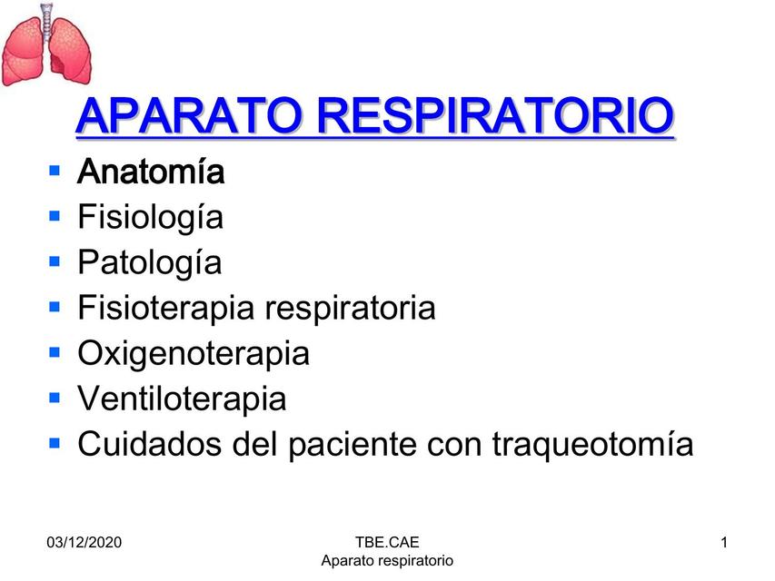 Aparato  Respiratorio Anatomía 