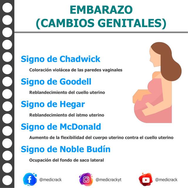 CAMBIOS GENITALES EN EL EMBARAZO Medicrack uDocz