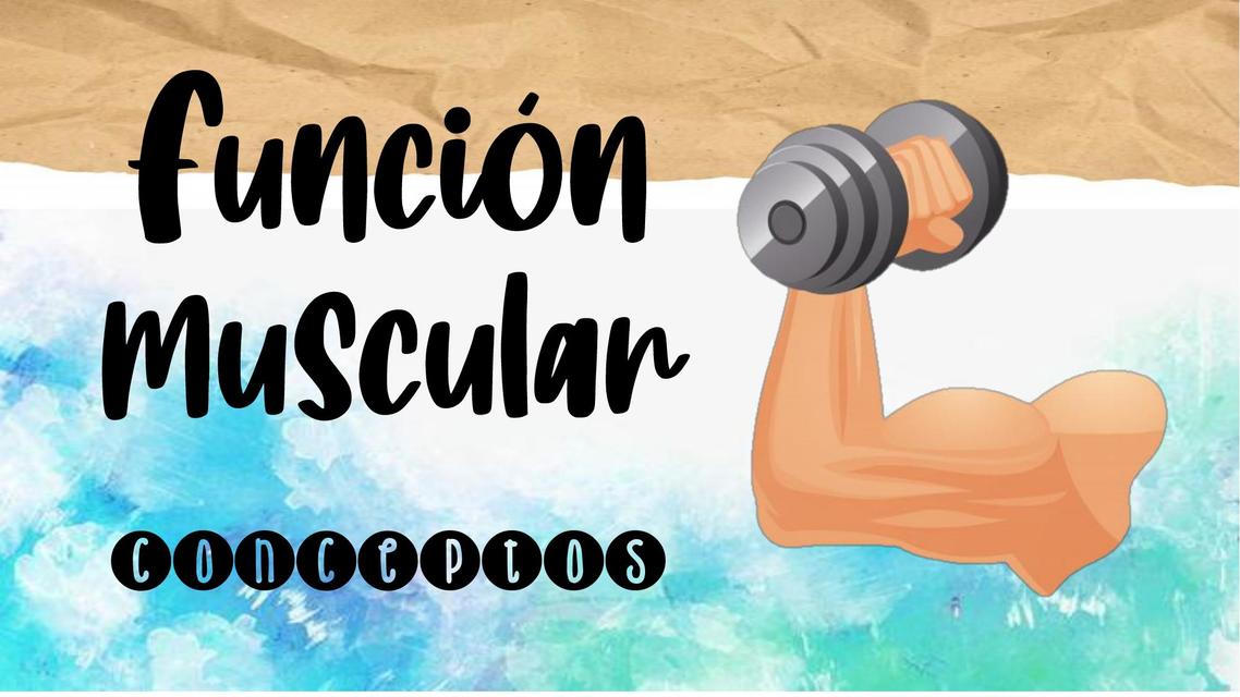 Conceptos de la función muscular