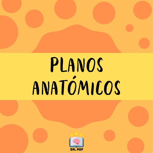 Planos Anatómicos