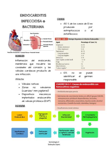 Endocarditis Infecciosa