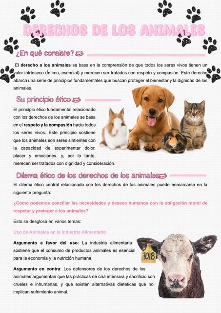 derechos de los animales | Rorro | uDocz