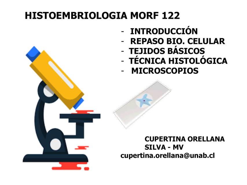 Conceptos básicos histológico