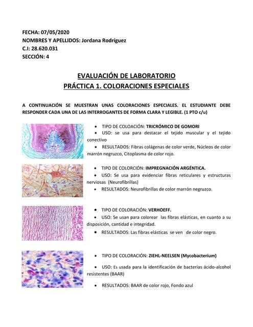 EVALUACIÓN DE LABORATORIO COLORACIONES ESPECIALES | Jordana | uDocz