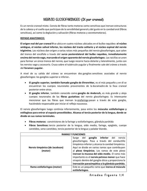 Ix Nervio Glosofaringeo Ariadna Figuera Udocz