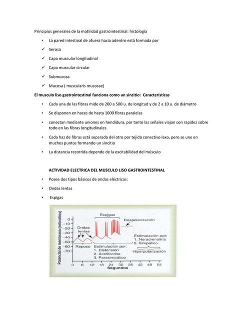 Principios generales de la motilidad gastrointestinal