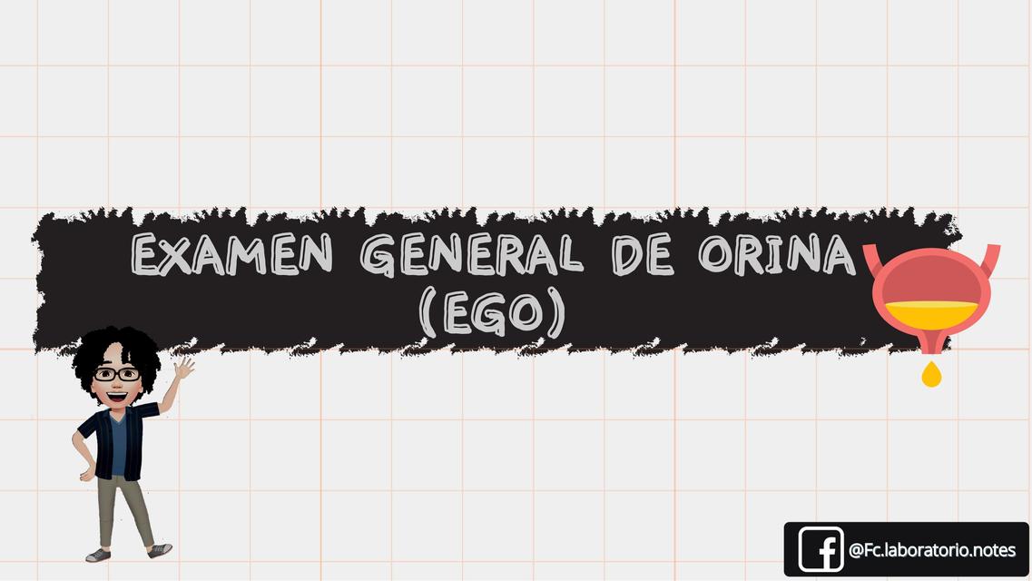 Examen de Orina (EGO)