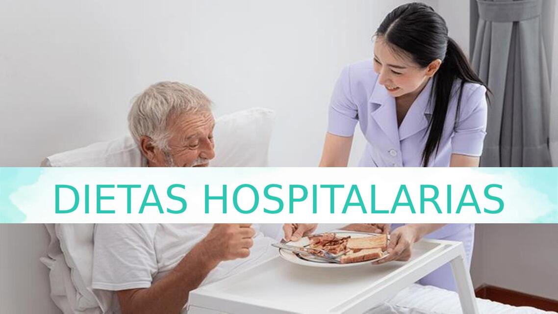 Dietas Hospitalarias Bethel Heredia Udocz