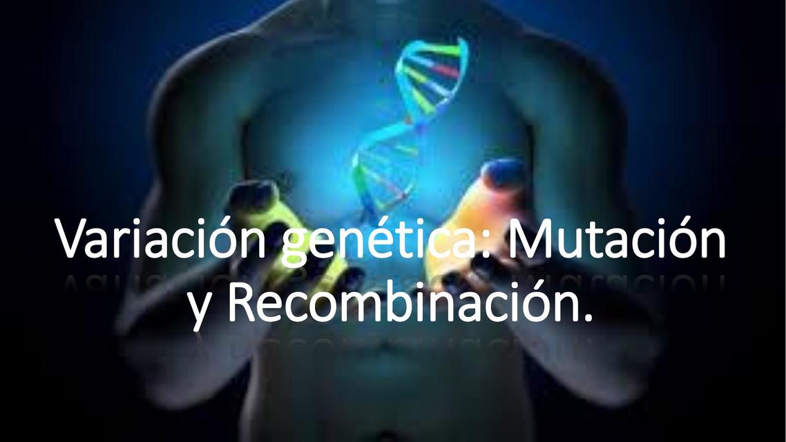 Variación Genética Mutación Y Recombinación