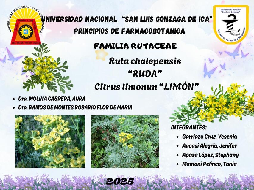 FARMACOBOTANICA RUDA Y LIMON | Tania Mamani Pelinco | uDocz