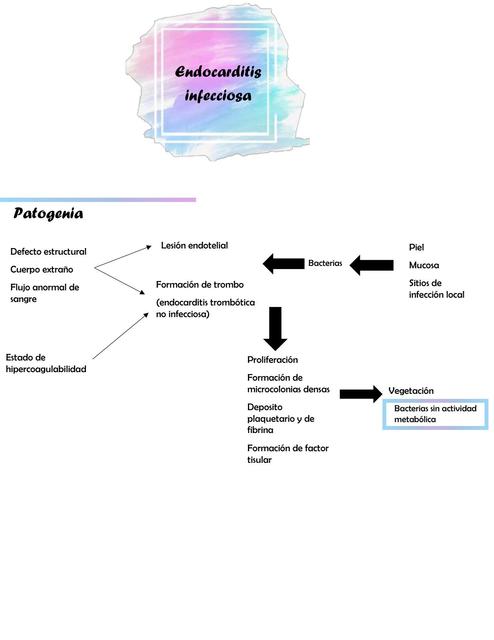 Endocarditis Infeccionsa