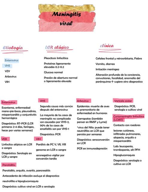 Meningitis Viral