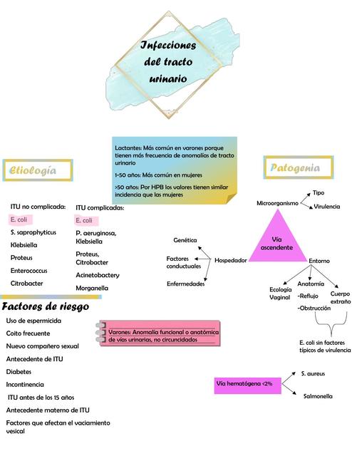 Infecciones del Tracto Urinario 