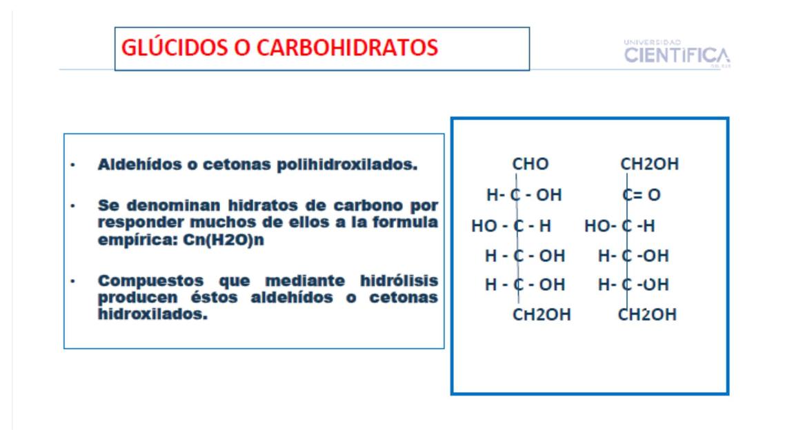 Carbohidratos