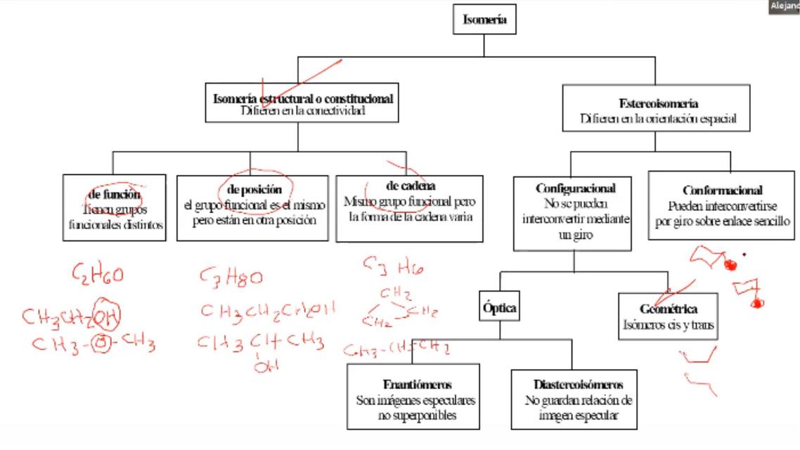 Isomería Óptica Química 