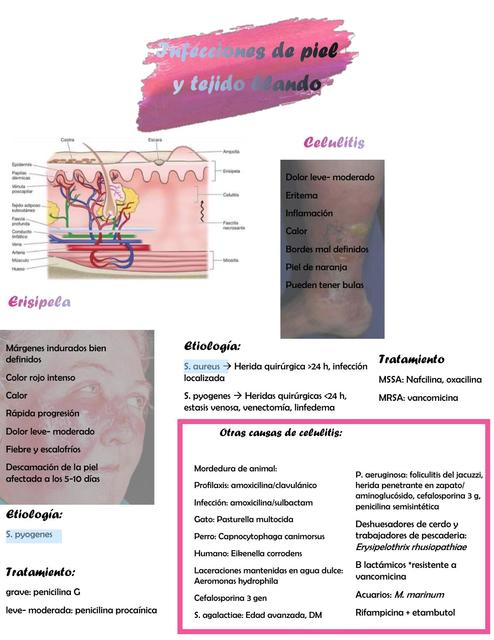 Infecciones de tejido blando